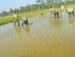 Koptu Jimmy Bantu Petani Tanam Padi Untuk Mendukung Ketahanan Pangan 