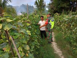 Komsos Dengan Petani, Serka Sabar Triwbowo Dampingi Petani Cek Pertumbuhan Tanaman Mentimun 