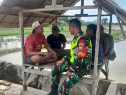 Kopda Hari Nurman Komsos Dengan Petani Desa Sungai Kuruk 