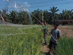 Serma Rido Mutaqin Dampingi Petani Halau Hama Burung