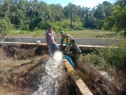 Babinsa Koramil 08 Rantau Dampingi Pompanisasi Kelompok Tani Maju Jaya