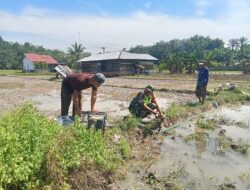 Serda Agus Santoso Dampingi Petani Mengatasi Kekeringan Sawah 