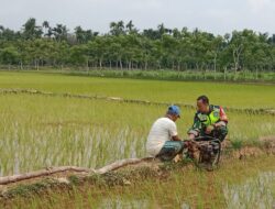 Pastikan Berfungsi Dengan Baik, Babinsa Koramil 06 Manyak Payed Cek Pompa Pengairan Sawah Bantuan