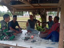 Babinsa 03/Seruway Motivasi Petani, di Gubuk Sawah