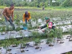 Sertu Suhendra Afrizal, Aktif Dukung Sektor Pertanian