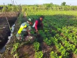 Bantu Warga Binaan, Babinsa Koramil 05/Tamiang Hulu Mendapat Apresiasi