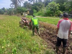 Serka Subagio Dampingi Petani Bajak Sawah Dengan Traktor, Petani Ucapkan Terimakasih