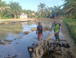 Babinsa Bantu Petani Bajak Sawah untuk Siapkan Lahan Pertanian