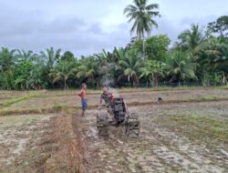 Babinsa Seuneubok Baru Bantu Bajak Sawah Milik Petani