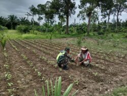 Giat Serma Safrizal, Motivasi Petani Desa Rantau Pauh