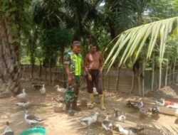 Sambangi Warga Peternak Bebek, Babinsa Koramil 08/Rantau Berikan Motivasi Melalui Komsos