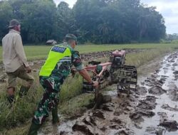 Babinsa Jamur Jelatang Bantu Petani Garap Lahan Pertanian Dengan Alat Modern