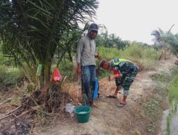 Ikut Basmi Hama Tanaman Padi, Babinsa Koramil 04/Bendahara Bantu Petani Semprot Padi