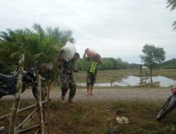 Wujud Kepedulian, Babinsa Dengan Semangat Bantu Petani Angkat Hasil Panen