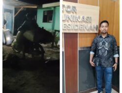 Diduga Marak Pencurian Berondolan Di Sawit Seberang, Ketua AMPEMUS Minta Manajer Kebun Dicopot