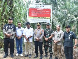 Tidak Ada Toleransi bagi Perusak Hutan Lindung TNGL, Bupati Armia Berkomitmen Menindak Tegas