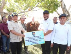 Bupati Armia Terima Sapi Meugang untuk Aceh Tamiang