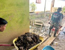 Babinsa Koramil 05/Tamiang Hulu Bantu Bersikan Lumpur Di Rumah Warga Pasca Banjir