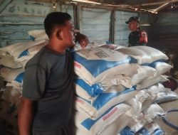 Babinsa Suka Mulya Cek Stok Pupuk Bersubsidi di UD Paya Raja