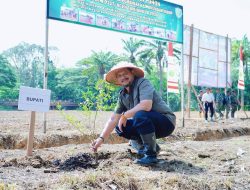 Dukung Ketahanan Pangan, Bupati Lakukan Penanaman Jagung Program Kodim 0117/Aceh Tamiang